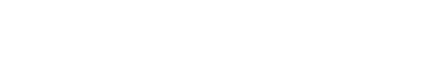 Idvit.pro Logo